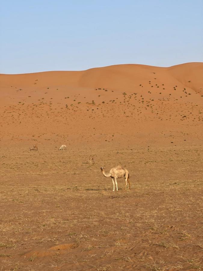 Thousand Stars Desert Camp Badīyah المظهر الخارجي الصورة