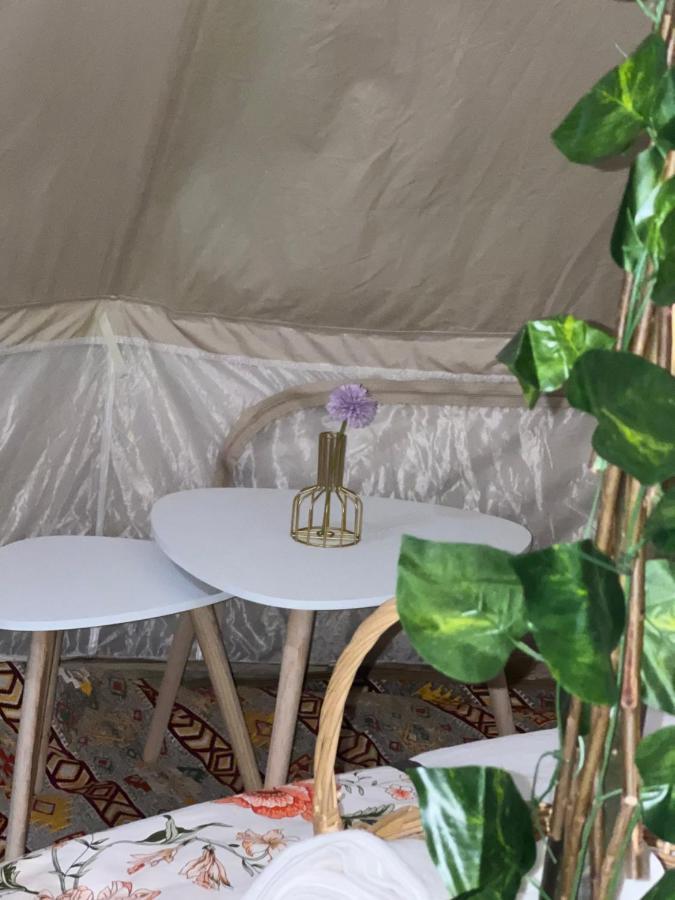 Thousand Stars Desert Camp Badīyah المظهر الخارجي الصورة