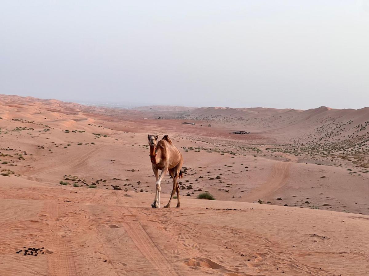 Thousand Stars Desert Camp Badīyah المظهر الخارجي الصورة