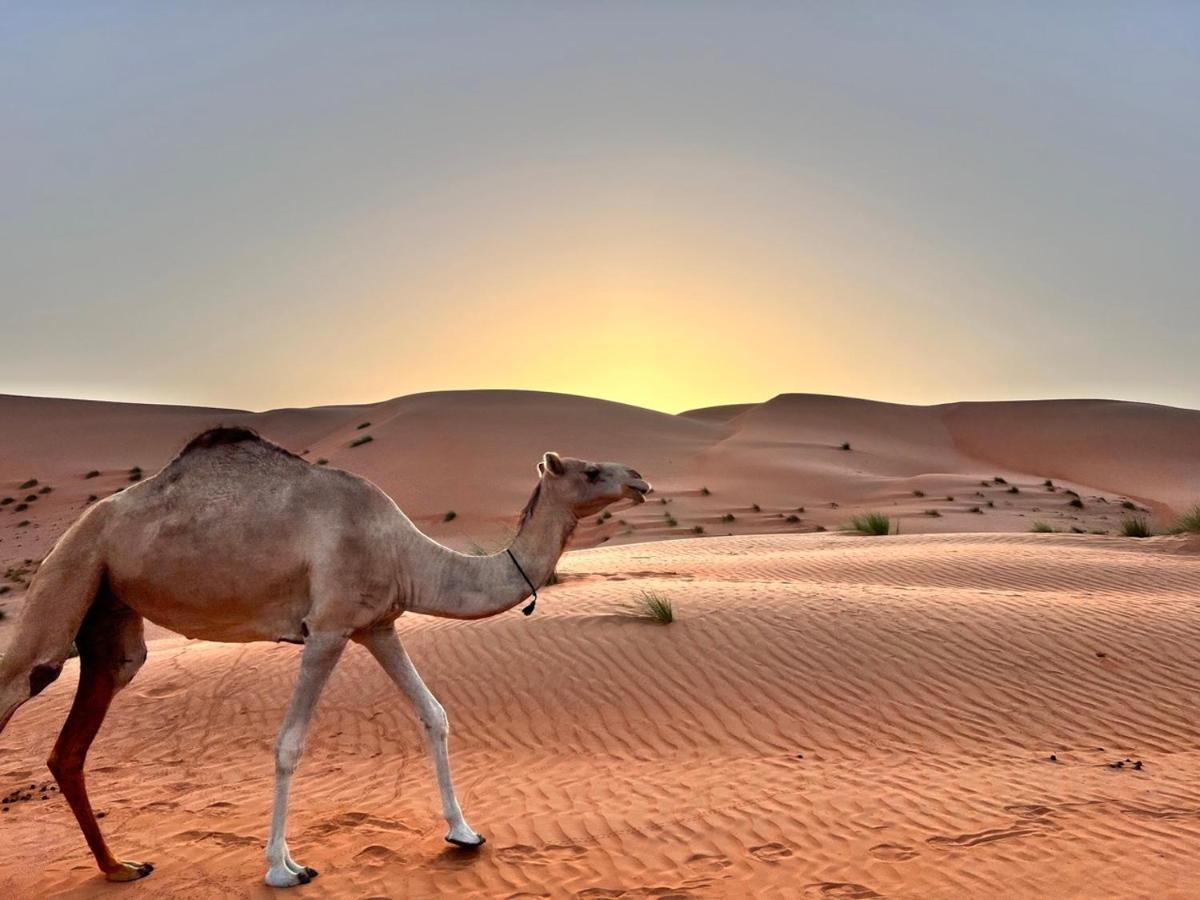 Thousand Stars Desert Camp Badīyah المظهر الخارجي الصورة