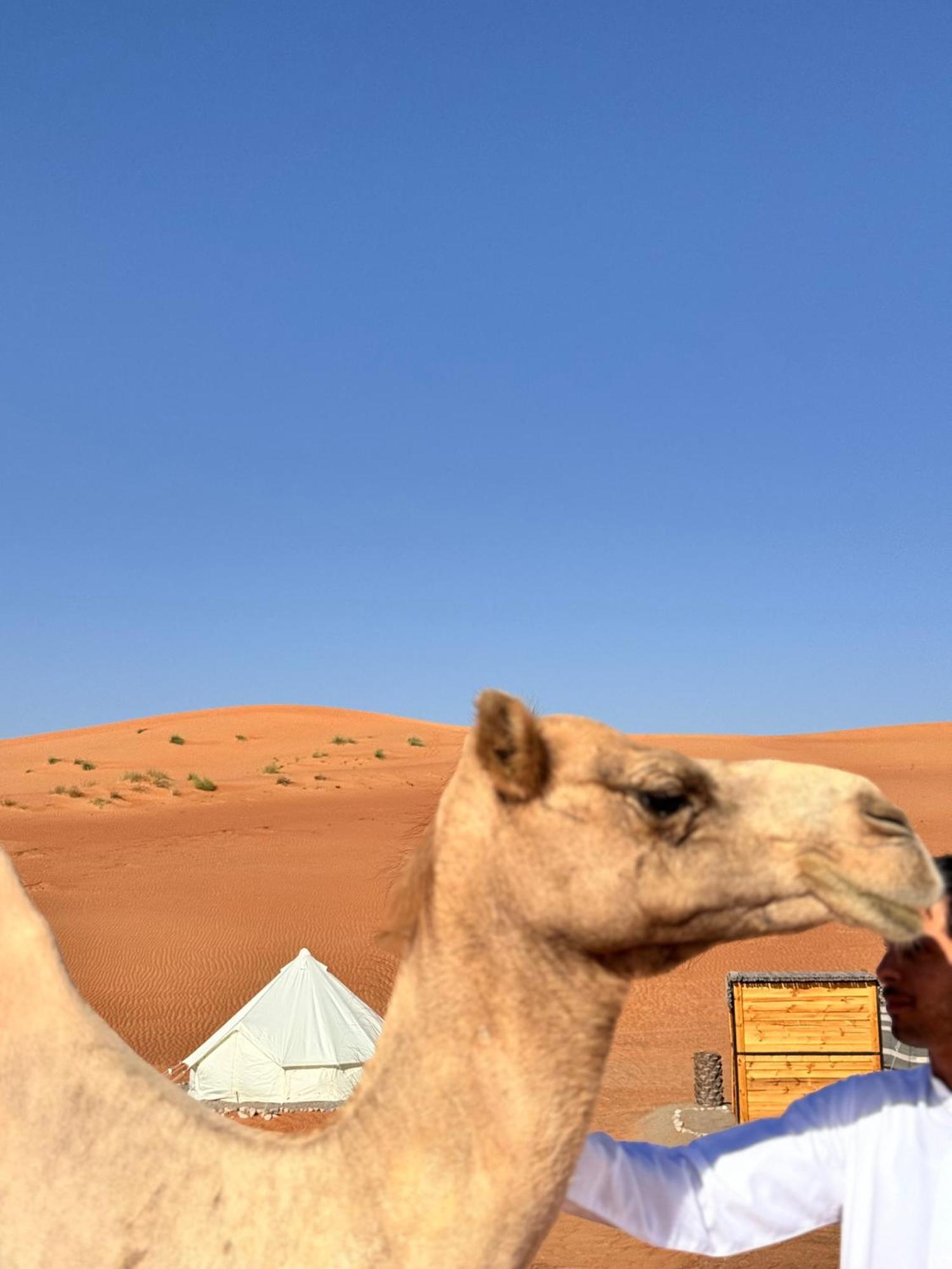 Thousand Stars Desert Camp Badīyah المظهر الخارجي الصورة